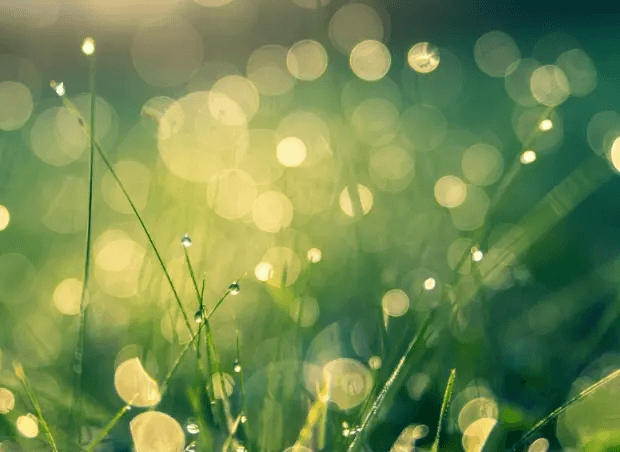 地域に貢献する大切さ