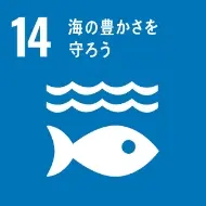 Icon 17