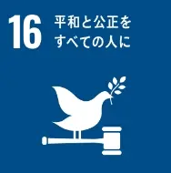 Icon 17