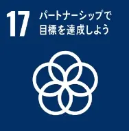 Icon 17